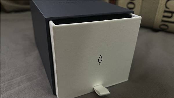 20241126-otpai