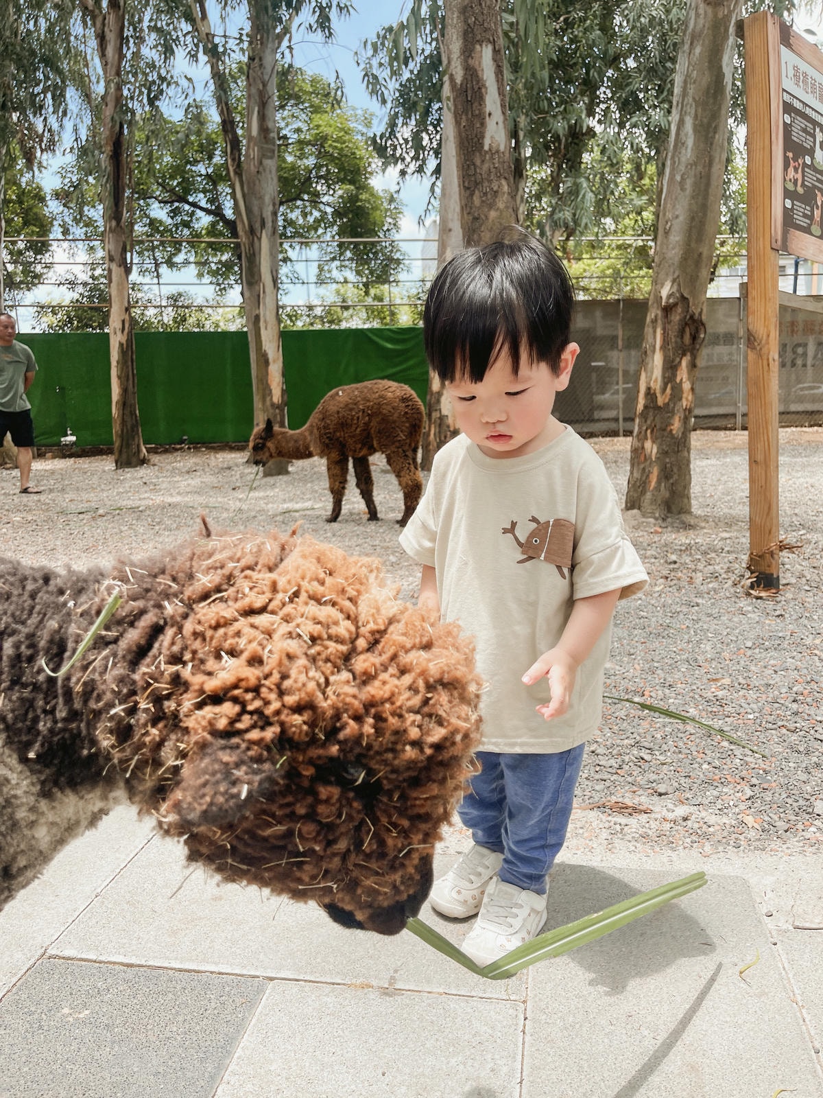 嘉義親子景點 咩咩上樹萌寵樂園互動