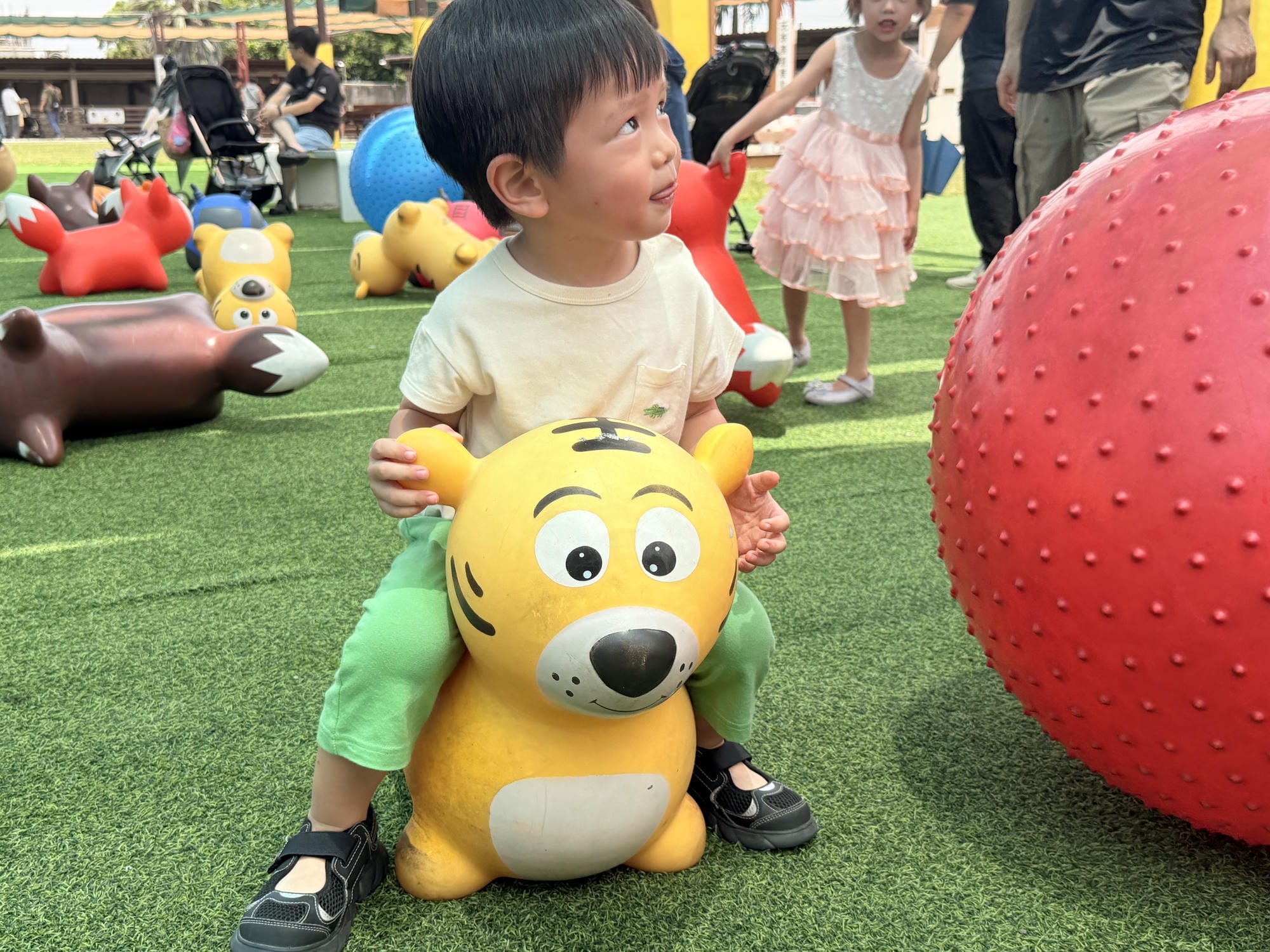 嘉義親子景點｜三隻小豬觀光農場，餵動物、玩沙玩水、童話造景一次收集！