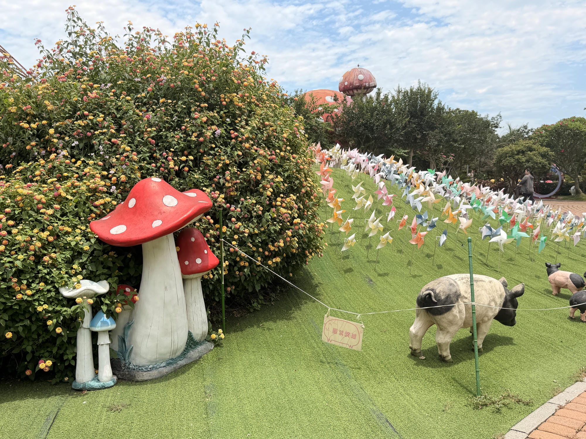 嘉義親子景點｜三隻小豬觀光農場，餵動物、玩沙玩水、童話造景一次收集！