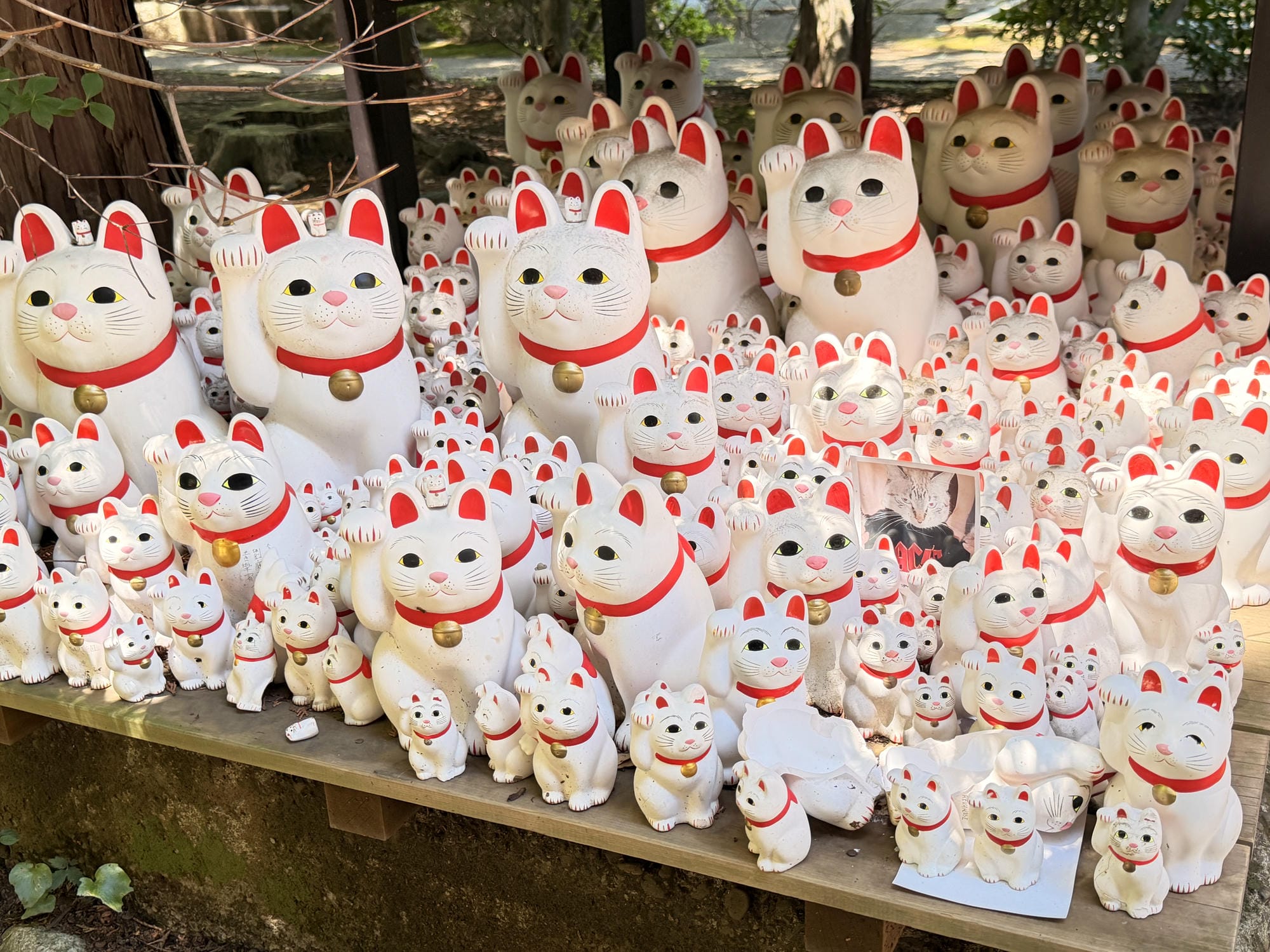 2026 東京豪德寺攻略|滿滿招財貓超療癒!免費參拜、交通方式、開放時間&招財貓價格 - 第1張圖 2026 東京豪德寺攻略|滿滿招財貓超療癒!免費參拜、交通方式、開放時間&招財貓價格