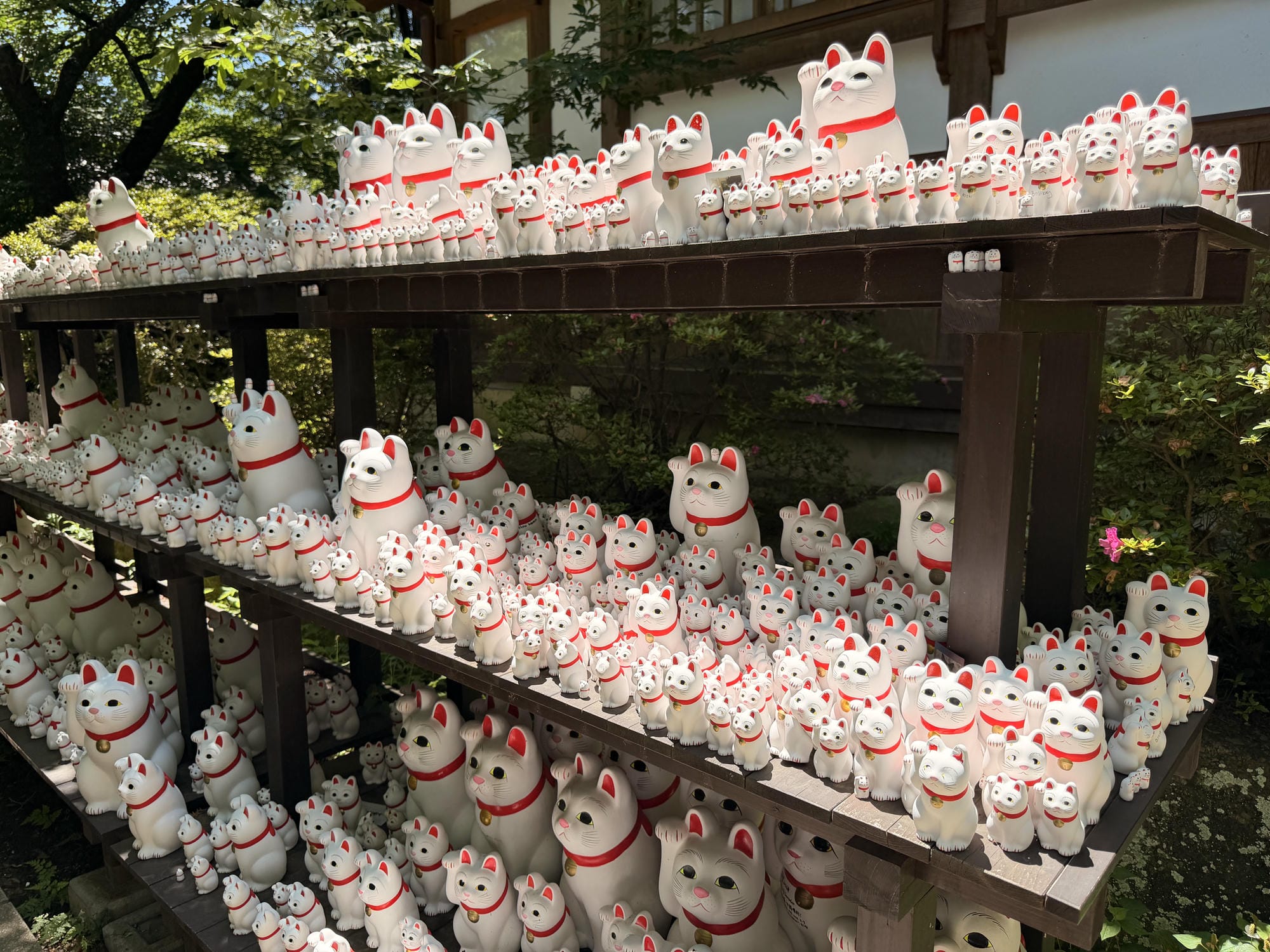 2026 東京豪德寺攻略|滿滿招財貓超療癒!免費參拜、交通方式、開放時間&招財貓價格 - 第5張圖 2026 東京豪德寺攻略|滿滿招財貓超療癒!免費參拜、交通方式、開放時間&招財貓價格