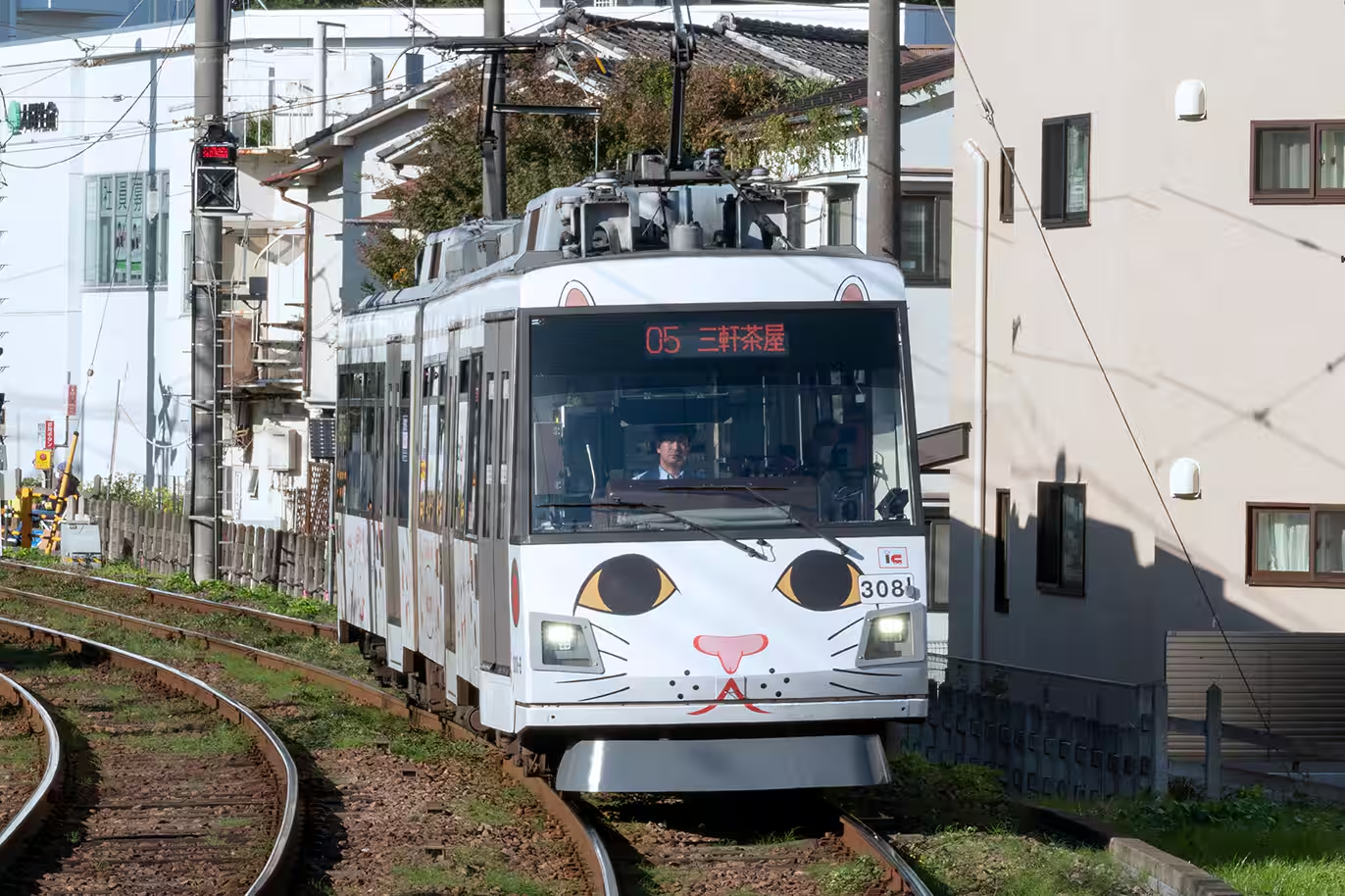 2026 東京豪德寺攻略|滿滿招財貓超療癒!免費參拜、交通方式、開放時間&招財貓價格 - 第14張圖 2026 東京豪德寺攻略|滿滿招財貓超療癒!免費參拜、交通方式、開放時間&招財貓價格